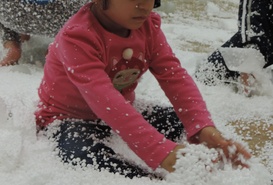 Activities Of The Center